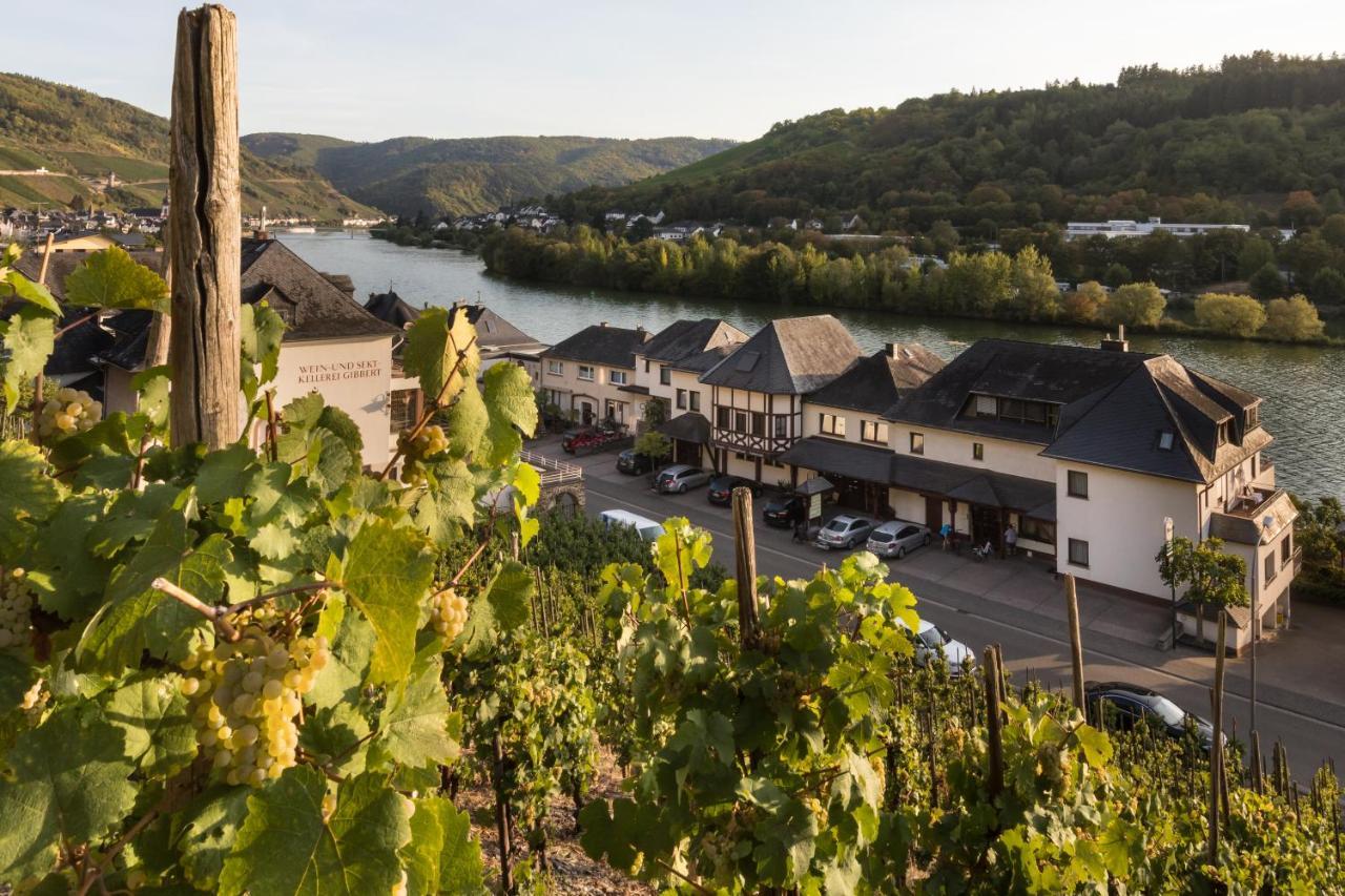 Hotel Garni "Cafe Im Hamm" ツェル・アン・デル・モーゼル エクステリア 写真