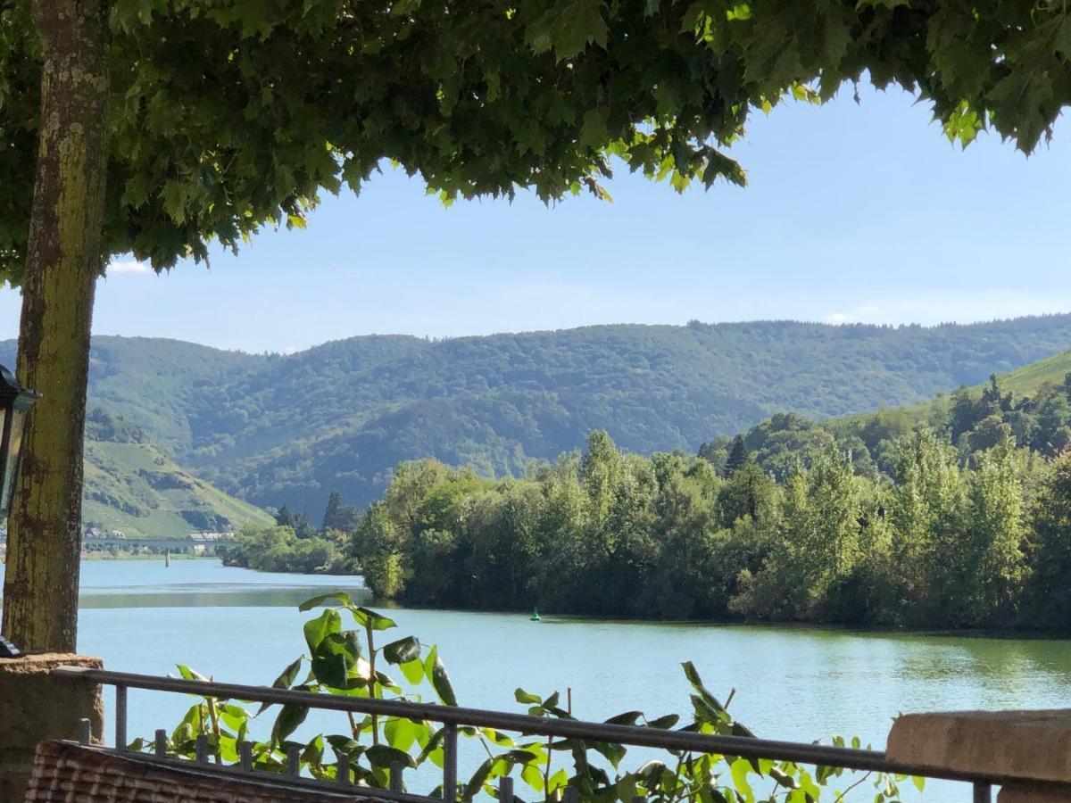 Hotel Garni "Cafe Im Hamm" ツェル・アン・デル・モーゼル エクステリア 写真